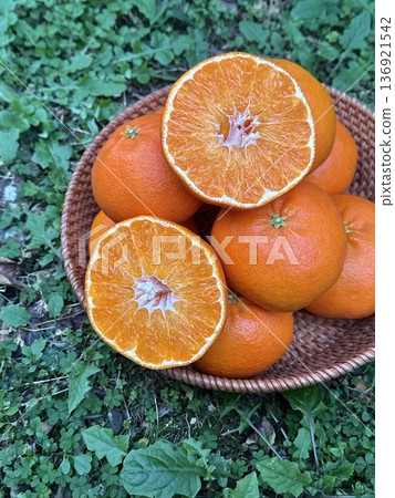 Fresh Jeju Island Sweet Tangerine 136921542