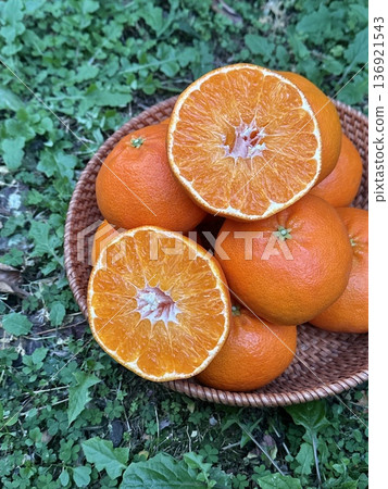 Fresh Jeju Island Sweet Tangerine 136921543
