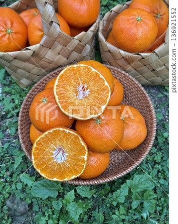 Fresh Jeju Island Sweet Tangerine Fresh Jeju Island Sweet Tangerine 136921552