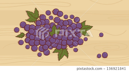 Fresh Blackcurrant Berries and Leaves. Harvest Top View of Eco Fruit on Wooden Background. Vector Illustration 136921841