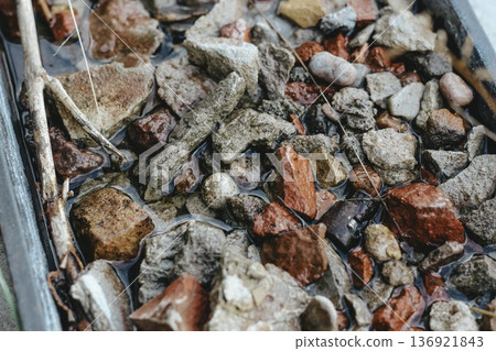 Diverse assortment of stones rests in shallow water, different textures and colors. Tranquil outdoor environment, perfect for design about beautiful nature. Decorative element 136921843