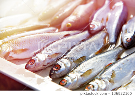 Fish roach, perch on cutting board Fish roach, perch on cutting board 136922160