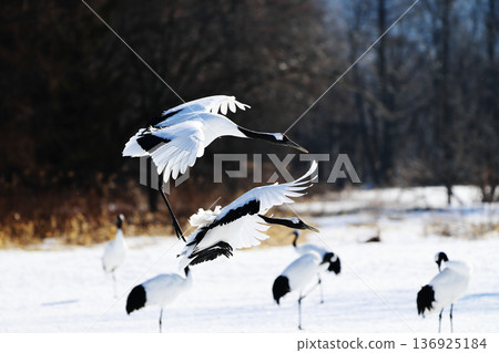 Flying crane Flying crane 136925184