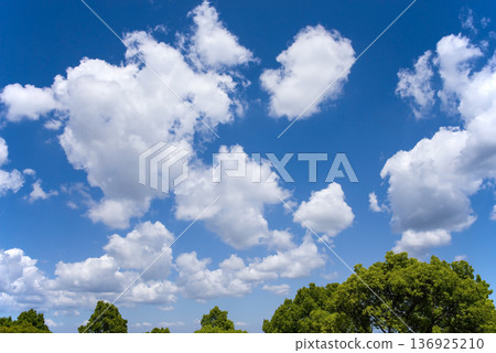 Blue sky and fresh green trees (healing landscape material) Blue sky and fresh green trees (healing landscape material) 136925210