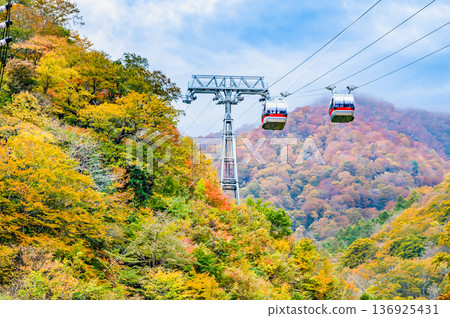 群馬縣：秋葉染紅的谷川山 136925431