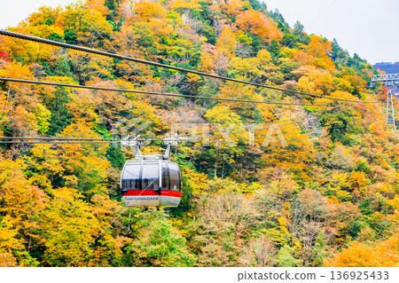 Gunma: Mt. Tanigawa dyed in autumn leaves Gunma: Mt. Tanigawa dyed in autumn leaves 136925433