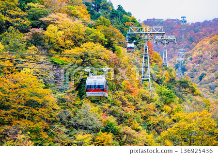 Gunma: Mt. Tanigawa dyed in autumn leaves Gunma: Mt. Tanigawa dyed in autumn leaves 136925436