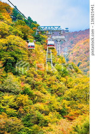 群馬縣：秋葉染紅的谷川山 136925441