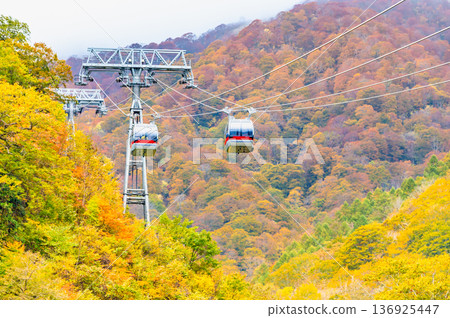 群馬縣：秋葉染紅的谷川山 136925447