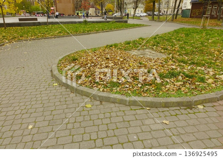 Autumn Leaves Cover the Ground in a Park During a Bright Day of the Season 136925495