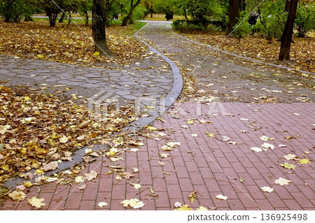 Walking Path in the Park Covered With Yellow Leaves During Autumn Season Walking Path in the Park Covered With Yellow Leaves During Autumn Season 136925498