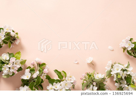 Spring apple tree blossom branches arranged on pastel background with copy space, floral seasonal background for greeting cards and design. 136925694