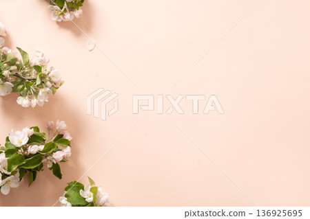 Apple blossom branches creating floral frame on pastel background with empty space for greeting or seasonal design. Apple blossom branches creating floral frame on pastel background with empty space for greeting or seasonal design. 136925695