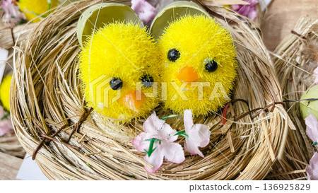 Two cute yellow fluffy Easter chicks sitting in a straw nest, festive spring holiday decoration. 136925829