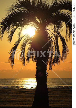 在晨光中染色的海 136926639