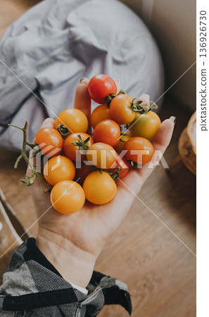 Harvest of homegrown cherry tomatoes 136926730