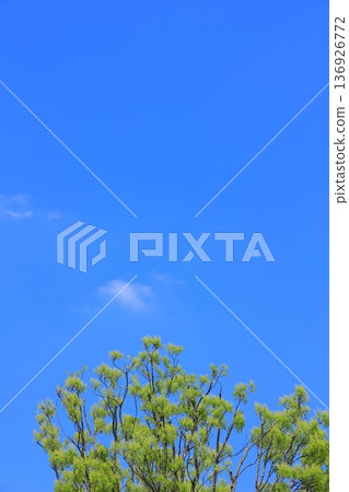 Pleasant blue sky Pleasant blue sky 136926772