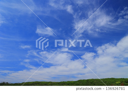 Pleasant blue sky Pleasant blue sky 136926781