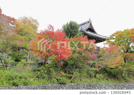 寺廟門口的秋葉 寺廟門口的秋葉 136926945