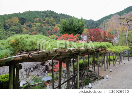 Scenic spot: Yuryu no Matsu Scenic spot: Yuryu no Matsu 136926950