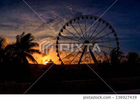 Silhouette of ferris wheel against golden sunset sky with palm trees Silhouette of ferris wheel against golden sunset sky with palm trees 136927439