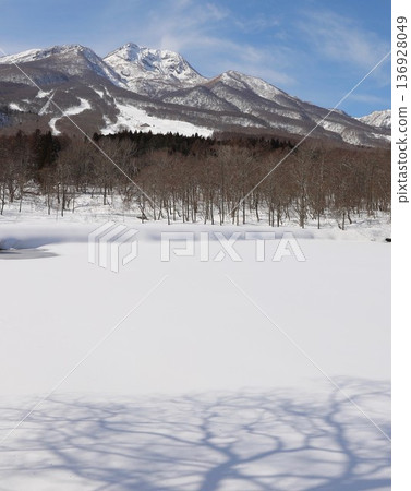 Snow, Imori Pond, Myoko Snow, Imori Pond, Myoko 136928049