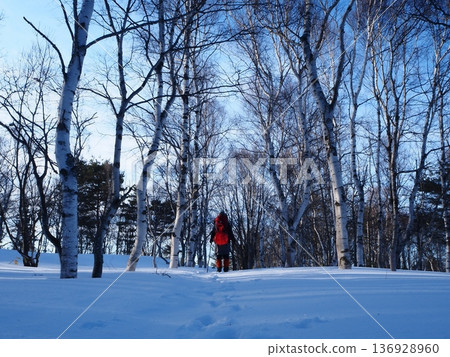 Hikers walking through a snowy forest in the morning (20260222074837) 136928960