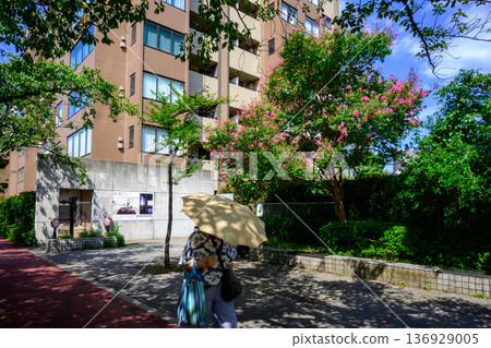 一位女子在烈日下撐著陽傘行走 136929005