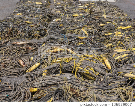 捕魚用的繩索要在陽光下曬乾。 136929007