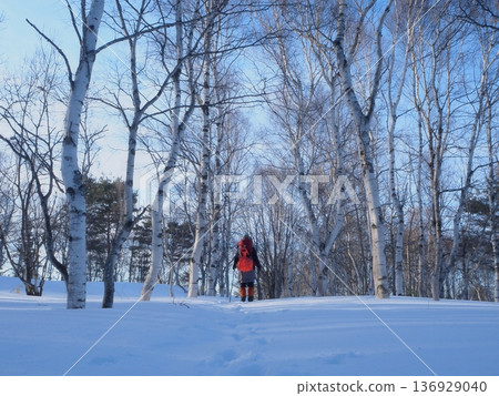 Hikers walking through a snowy forest in the morning (afli20260222074837) 136929040