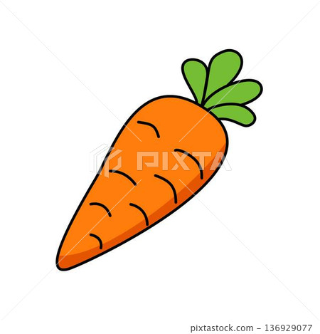 carrot illustration vegetable 136929077