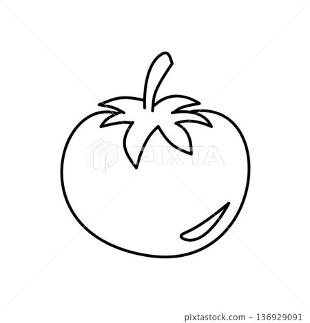 tomato outline vegetable 136929091