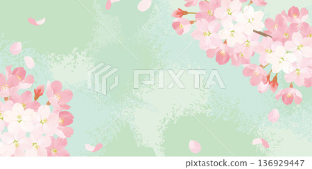 櫻花水彩背景圖 櫻花水彩背景圖 136929447