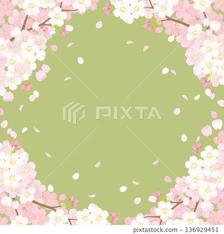 Cherry background illustration 136929451