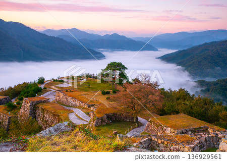Takeda castle ruins and sea of clouds 136929561