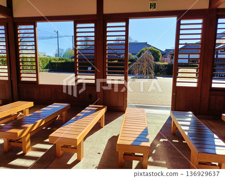 A sunlit rest area 136929637