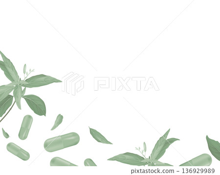 Green capsules with Andrographis paniculata leaves Green capsules with Andrographis paniculata leaves 136929989
