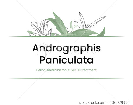 Andrographis paniculata leaves text mockup Andrographis paniculata leaves text mockup 136929991