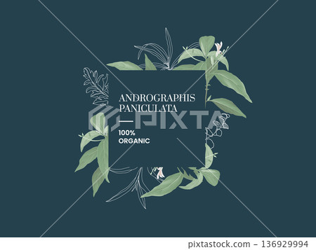 Andrographis paniculata leaves text mockup 136929994
