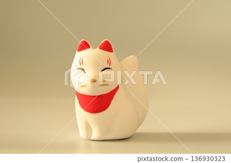 白色背景上的白狐 白色背景上的白狐 136930323