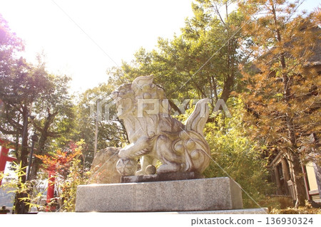 Komainu 和秋葉在神社 Komainu 和秋葉在神社 136930324