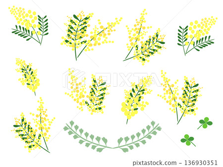 時尚含羞草插圖集_插圖_月桂花環 時尚含羞草插圖集_插圖_月桂花環 136930351