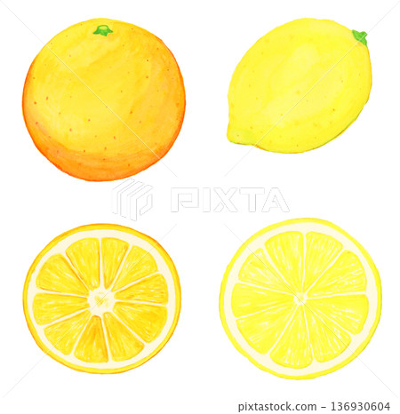 Hand-drawn watercolor realistic lemon and orange whole and slice set (without leaves, white background, food illustration) Hand-drawn watercolor realistic lemon and orange whole and slice set (without leaves, white background, food illustration) 136930604