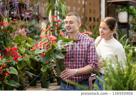 Couple man and woman choosing anthurium in flower shop 136930908