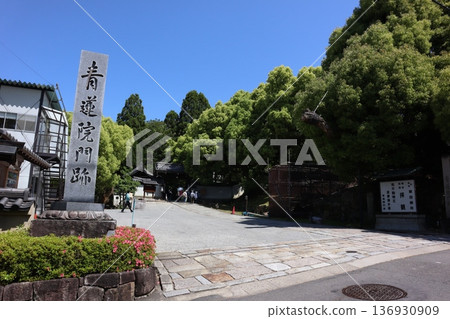 [Kyoto] Shoren-in Temple 136930909