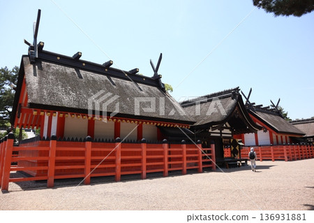 [Osaka] Sumiyoshi Taisha Shrine 136931881