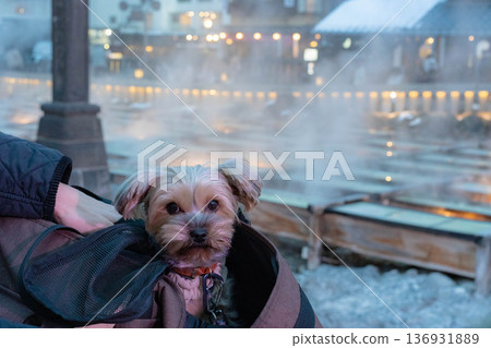 草津溫泉旅遊照片 帶狗狗旅行 136931889