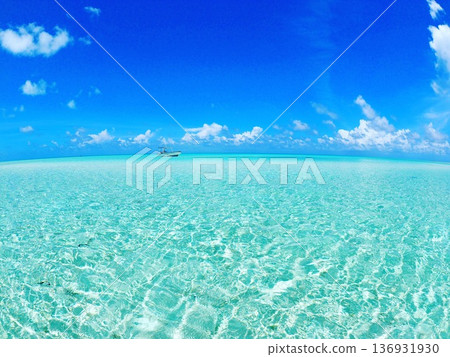 Tahiti's Fakarava: Shallow Lagoon and Powder Snow White Sand Beach | Tropical Landscape with Crystal Clear Sea 136931930
