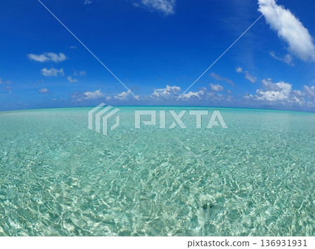 Tahiti's Fakarava: Shallow Lagoon and Powder Snow White Sand Beach | Tropical Landscape with Crystal Clear Sea Tahiti's Fakarava: Shallow Lagoon and Powder Snow White Sand Beach | Tropical Landscape with Crystal Clear Sea 136931931