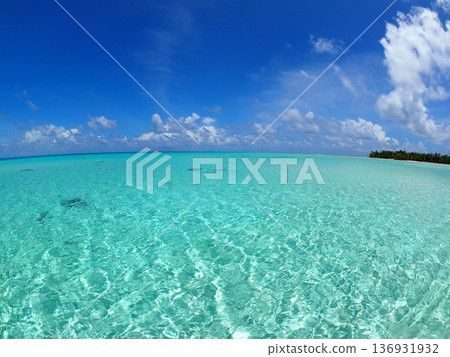 Tahiti's Fakarava: Shallow Lagoon and Powder Snow White Sand Beach | Tropical Landscape with Crystal Clear Sea 136931932